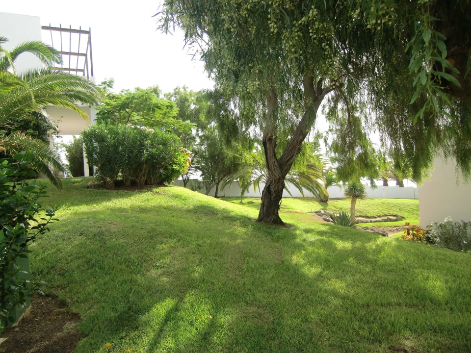 Garten allsun App.-Hotel Esquinzo Beach