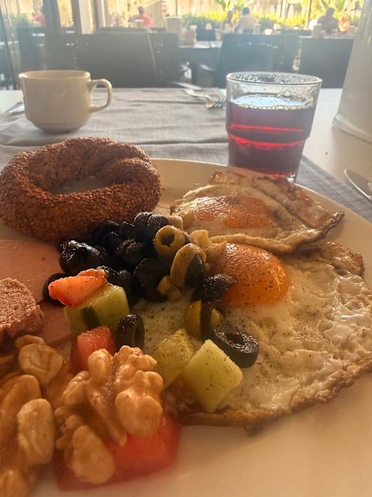 Gastro Seashell Vega