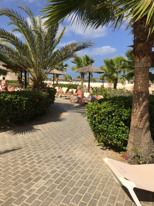 Gartenanlage Hotel Riu Karamboa
