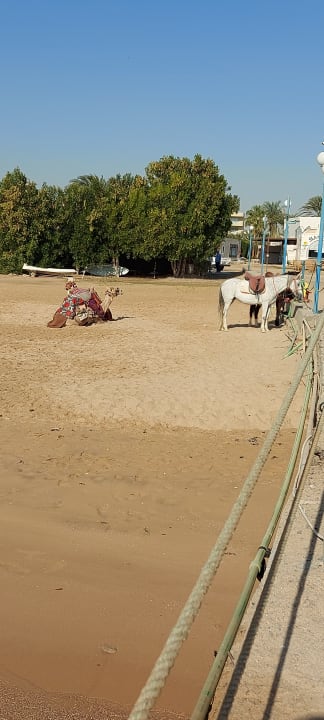 Strand Shams Safaga Resort