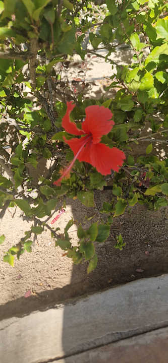 Außenansicht Hotel Riu Palace Santa Maria