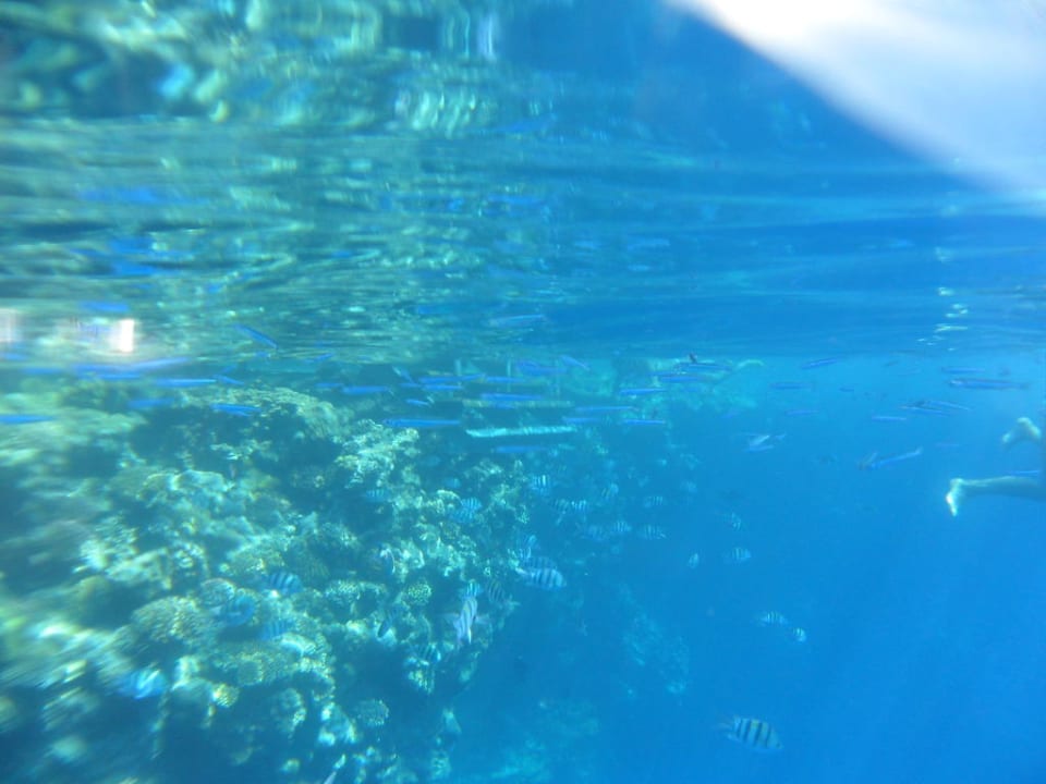 Riff The Grand Hotel Sharm El Sheikh