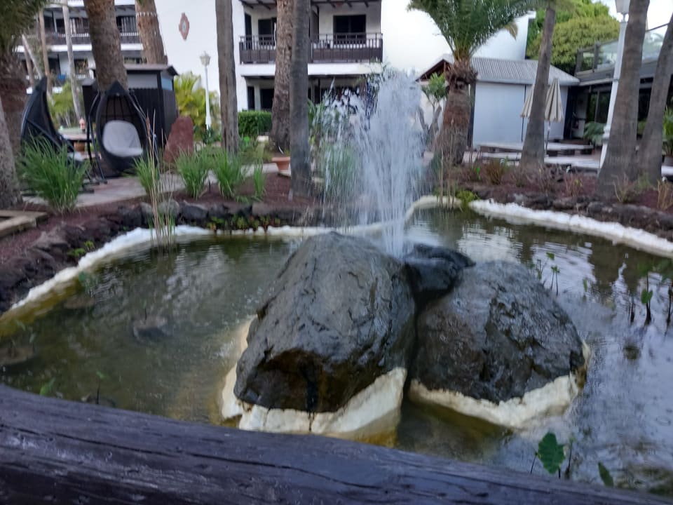 Gartenanlage Hotel Parque Tropical