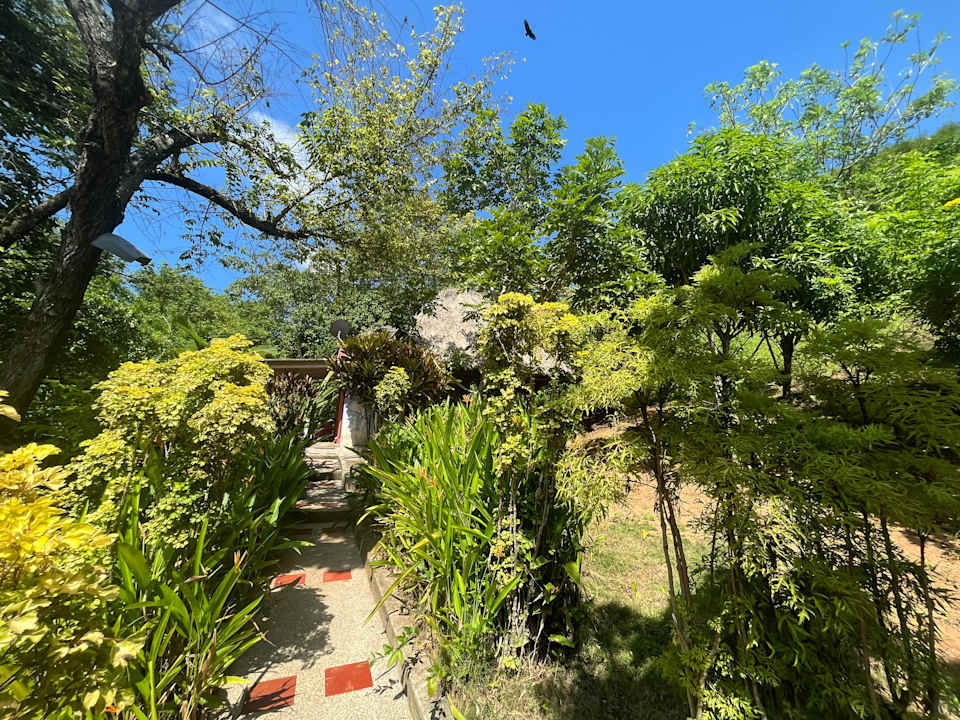 Gartenanlage Hostal Recuerdos del Tayrona