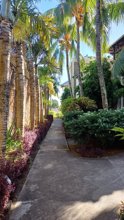 Gartenanlage Lagoon Attitude - Adults only