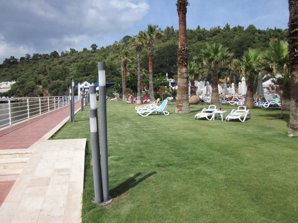 Liegewiese Paloma Pasha