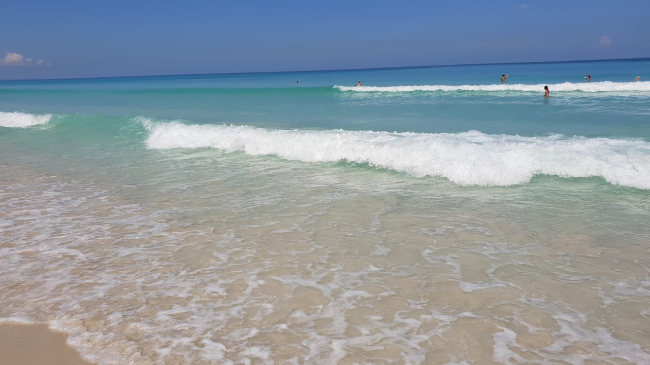 Strand Starfish Cuatro Palmas