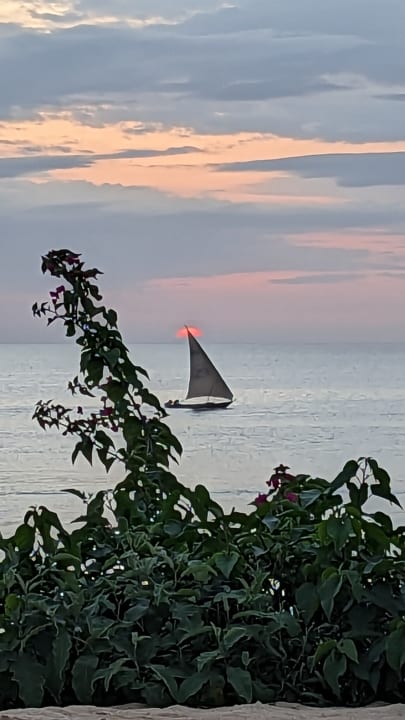 Ausblick Hotel Riu Palace Zanzibar