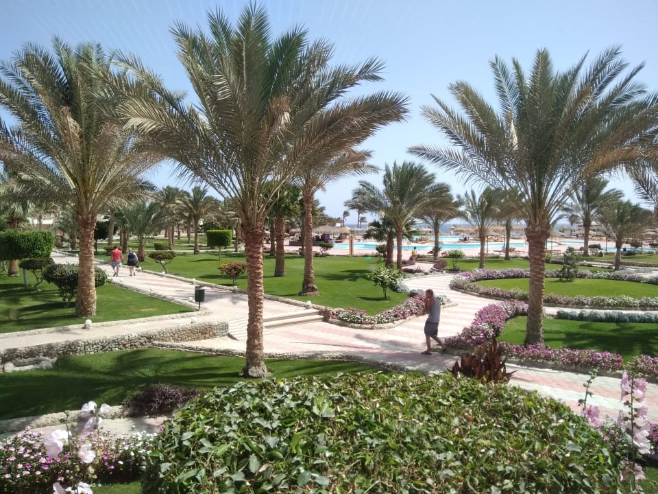 Zur Hauptpoollandschaft Three Corners Sea Beach Resort