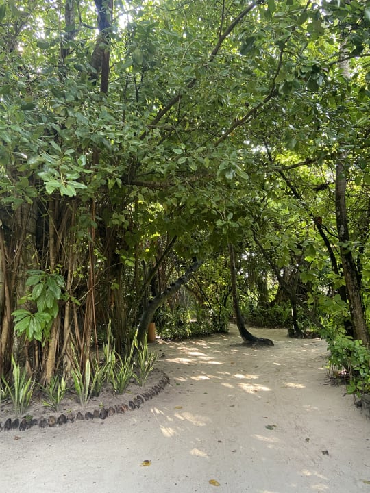 Gartenanlage Reethi Faru Resort