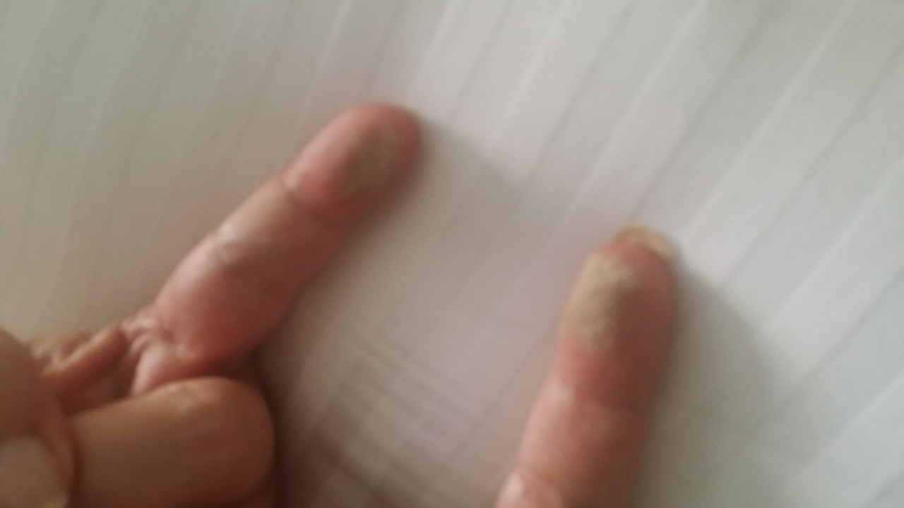 Schmutz egal wo  Royal Taj Mahal Hotel