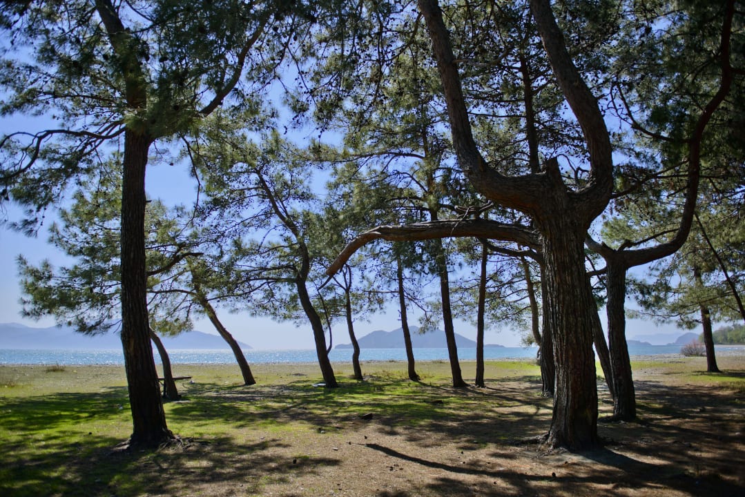 Beach Akra Fethiye Tui Blue Sensatori