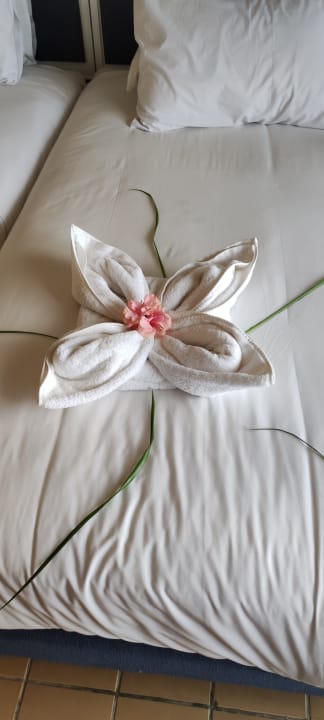 Zimmer Pickalbatros Sands Hotel - Port Ghalib