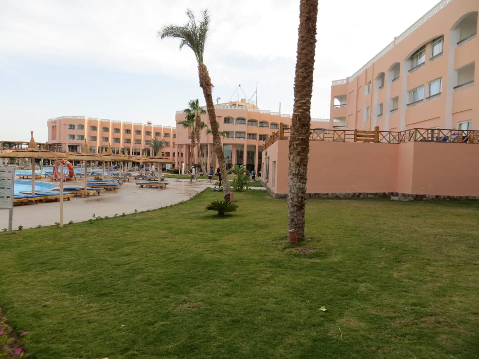 Am Hauptpool Beach Albatros Resort