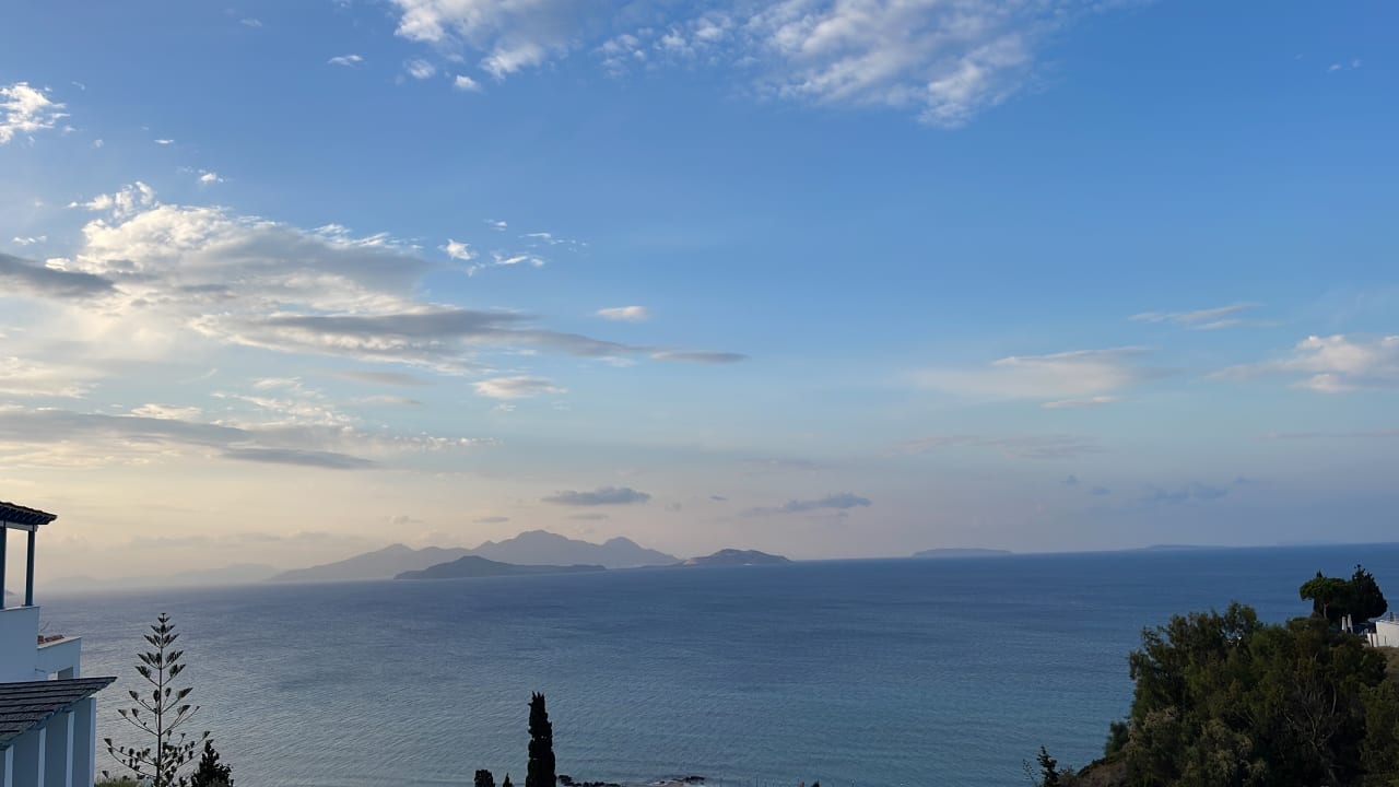 Zimmer ROBINSON DAIDALOS