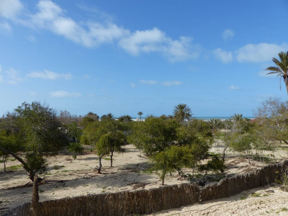 Vom Zimmer in den Garten zum Meer Iberostar Waves Mehari Djerba