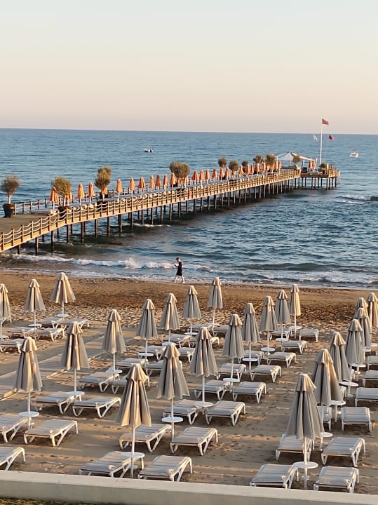 Strand Arum Barut Collection