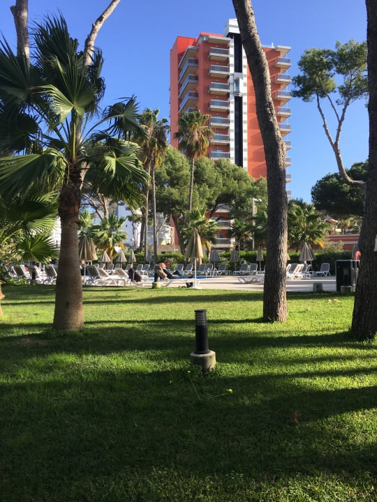 Gartenanlage Hotel Riu Festival