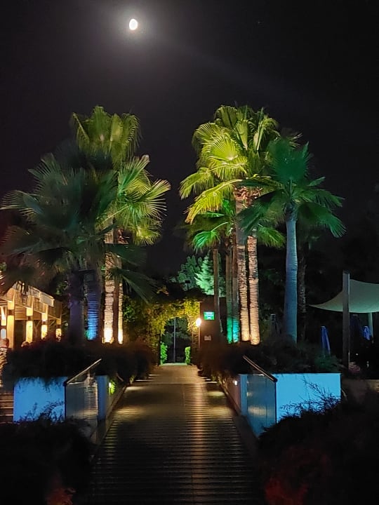 Gartenanlage Sentido Trendy Verbena Beach