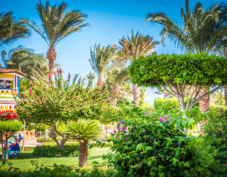 Gartenanlage Seagull Beach Resort
