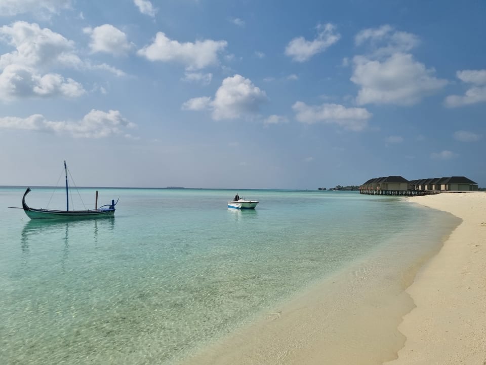 Strand Summer Island Maldives