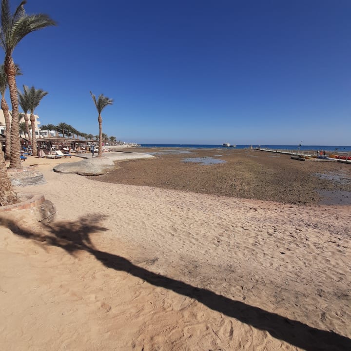 Strand Pickalbatros Palace Resort