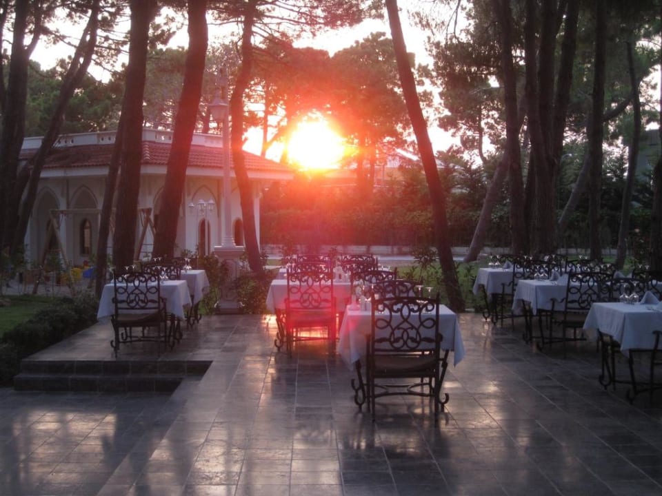 Nachtessen unter Pinienbäumen Ali Bey Resort Sorgun