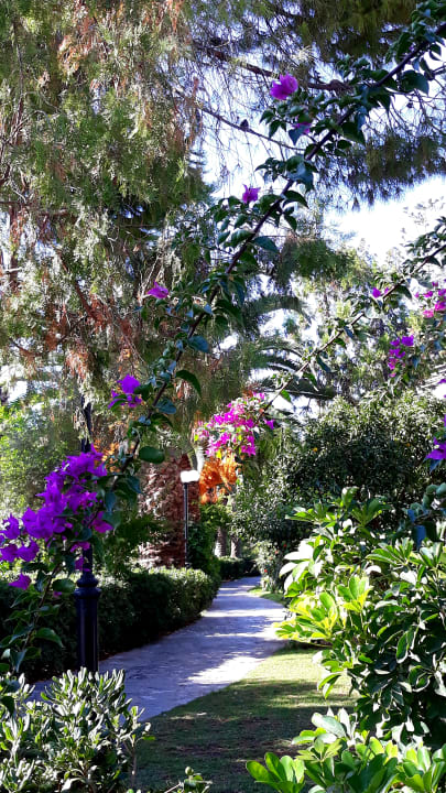 Gartenanlage Apollonia Beach Resort & Spa