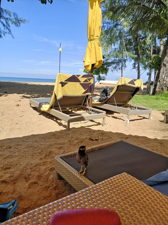 Strand La Vela Khao Lak