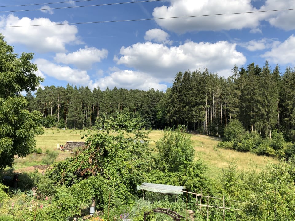 Ausblick S'Fleckli Bioland Ferienbauernhof
