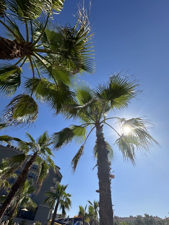 Sonstiges Washington Resort & SPA