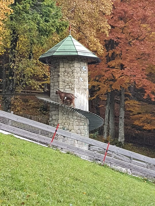 Ausblick Oberjoch - Familux Resort