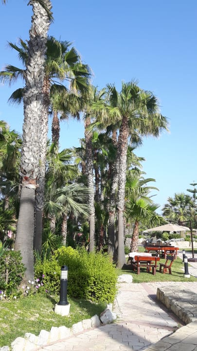 Gastro TUI MAGIC LIFE Africana