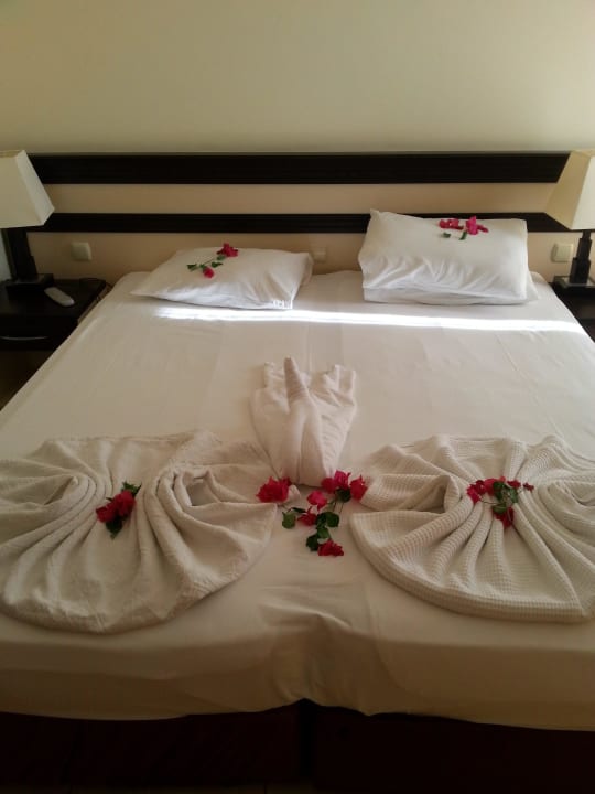 Netter Empfang Hotel Orfeus Park