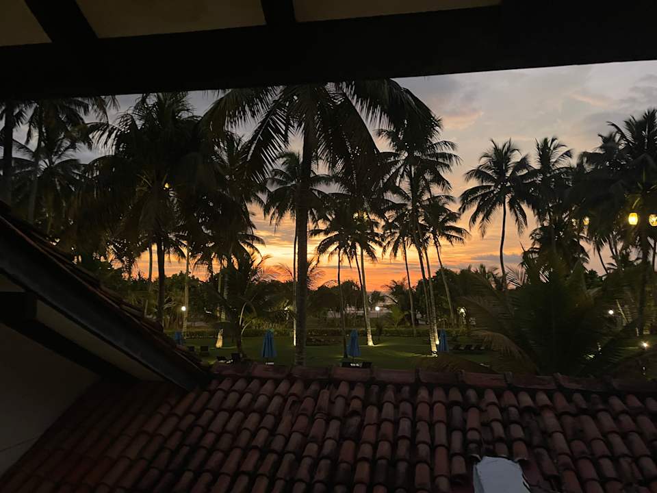 Gartenanlage Thaala Bentota