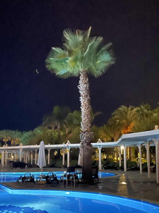 Pool Calimera Serra Palace