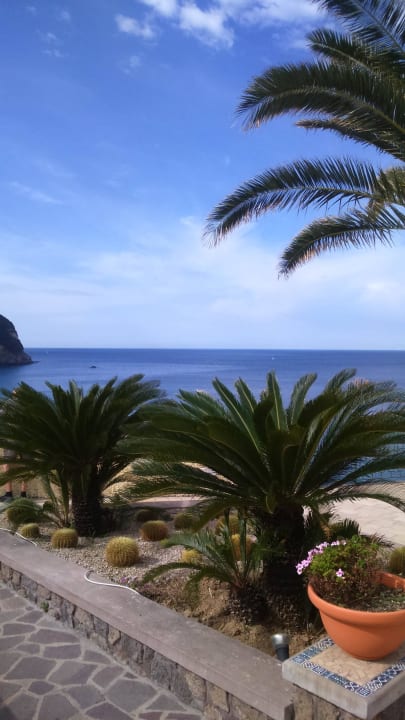 Hotel Royal Palm Terme Hotel Terme Royal Palm