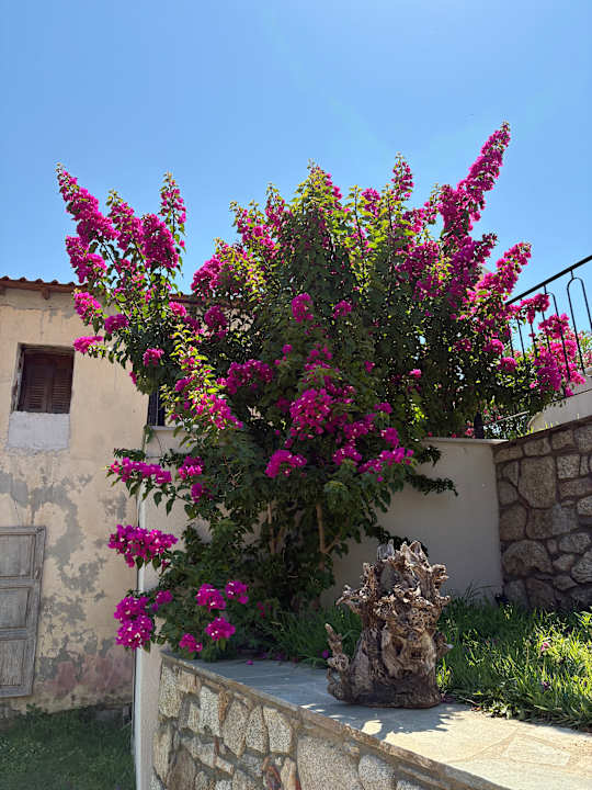 Gartenanlage Lithos Villas Apollon