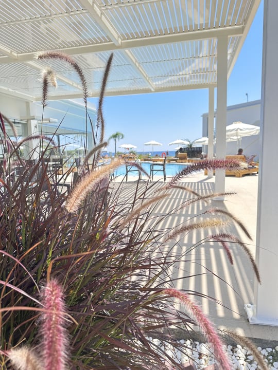 Pool Asterias Beach Resort