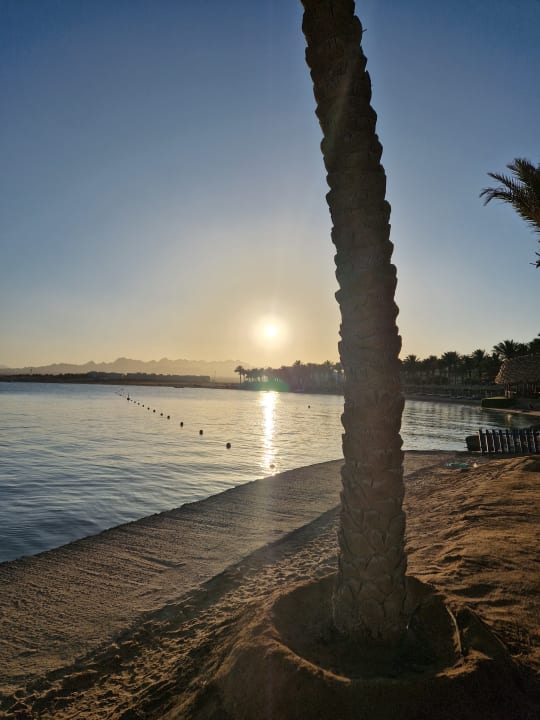 Strand Palm Royale Resort - Soma Bay