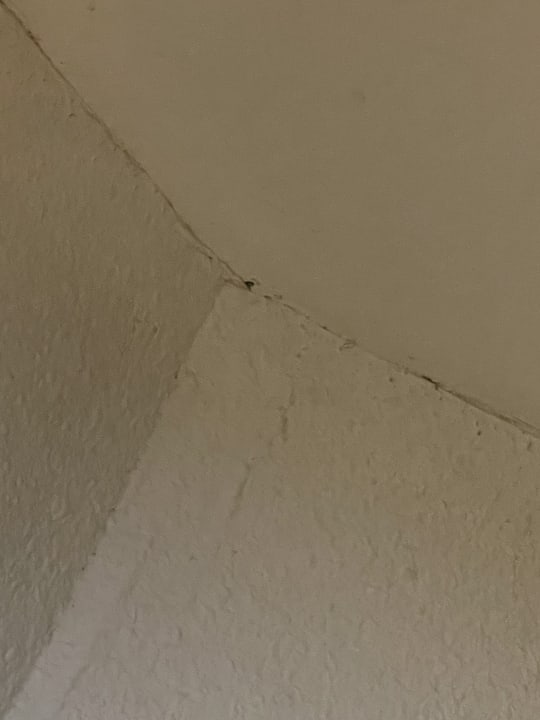 Zimmer Iberostar Waves Playa de Muro