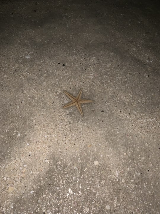 Strand DoubleTree by Hilton Resort & Spa Marjan Island