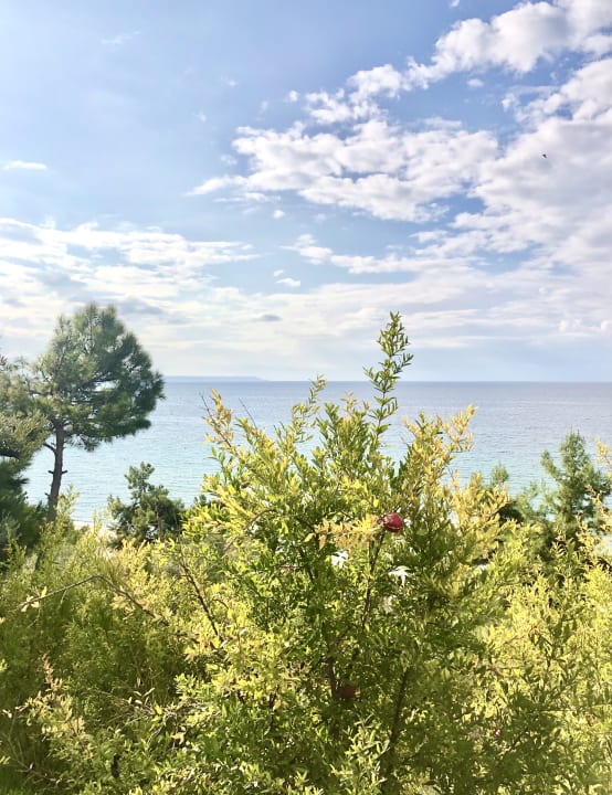 Ausblick Ikos Oceania