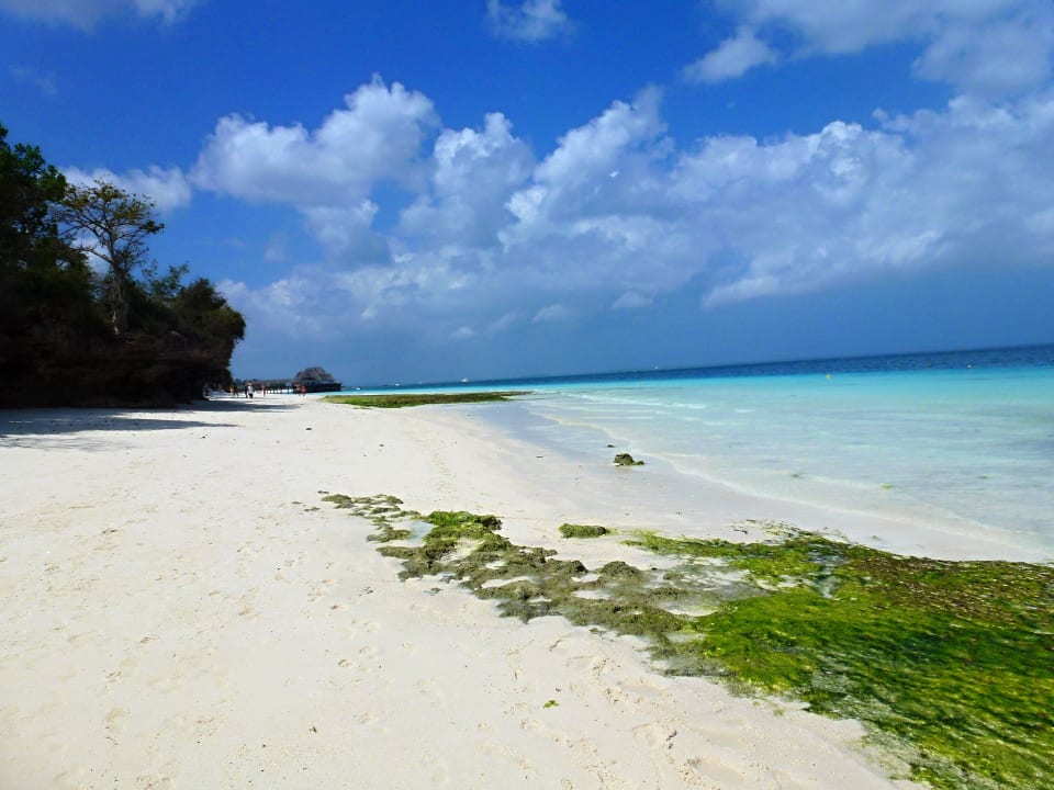 Sonstiges Motiv Hotel Riu Palace Zanzibar