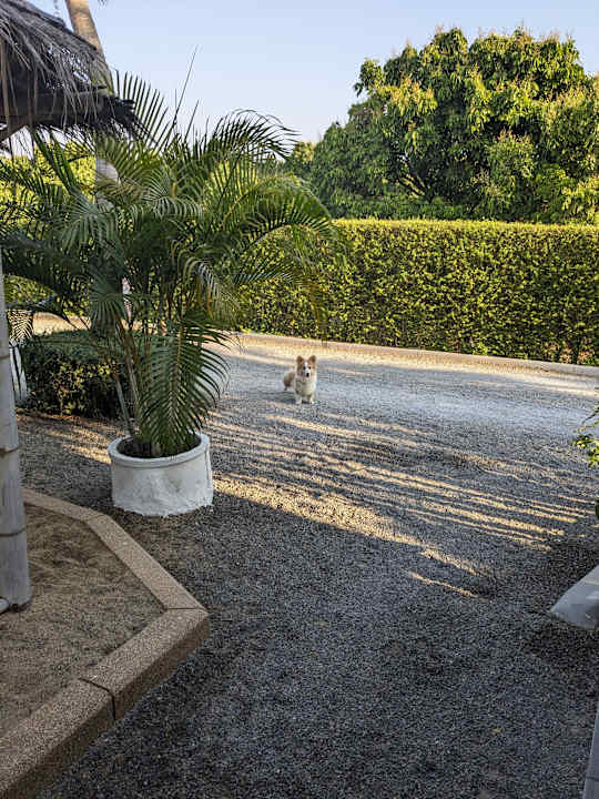 Außenansicht SB Holiday Resort