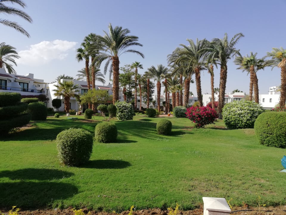 Gartenanlage Lotus Bay Beach Resort