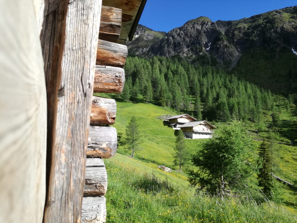 Sonstiges Feldererhof - Urlaub am Bauernhof