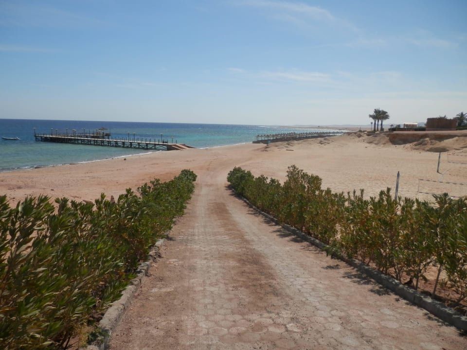 Vom Tauchcenter Fantazia Resort Marsa Alam