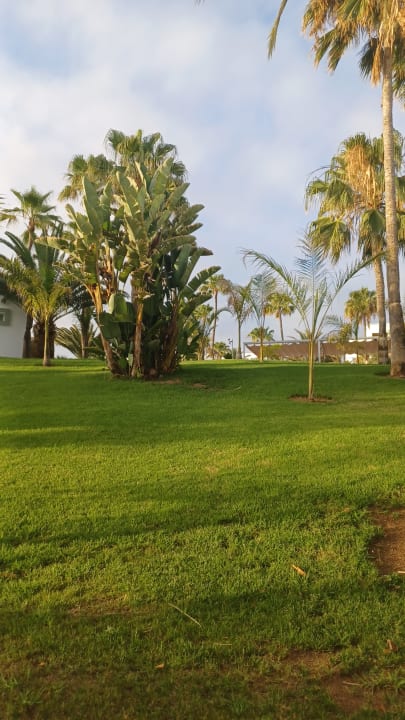 Gartenanlage Hotel Riu Gran Canaria