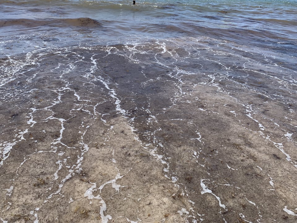 Strand Hotel Riu Palace Punta Cana